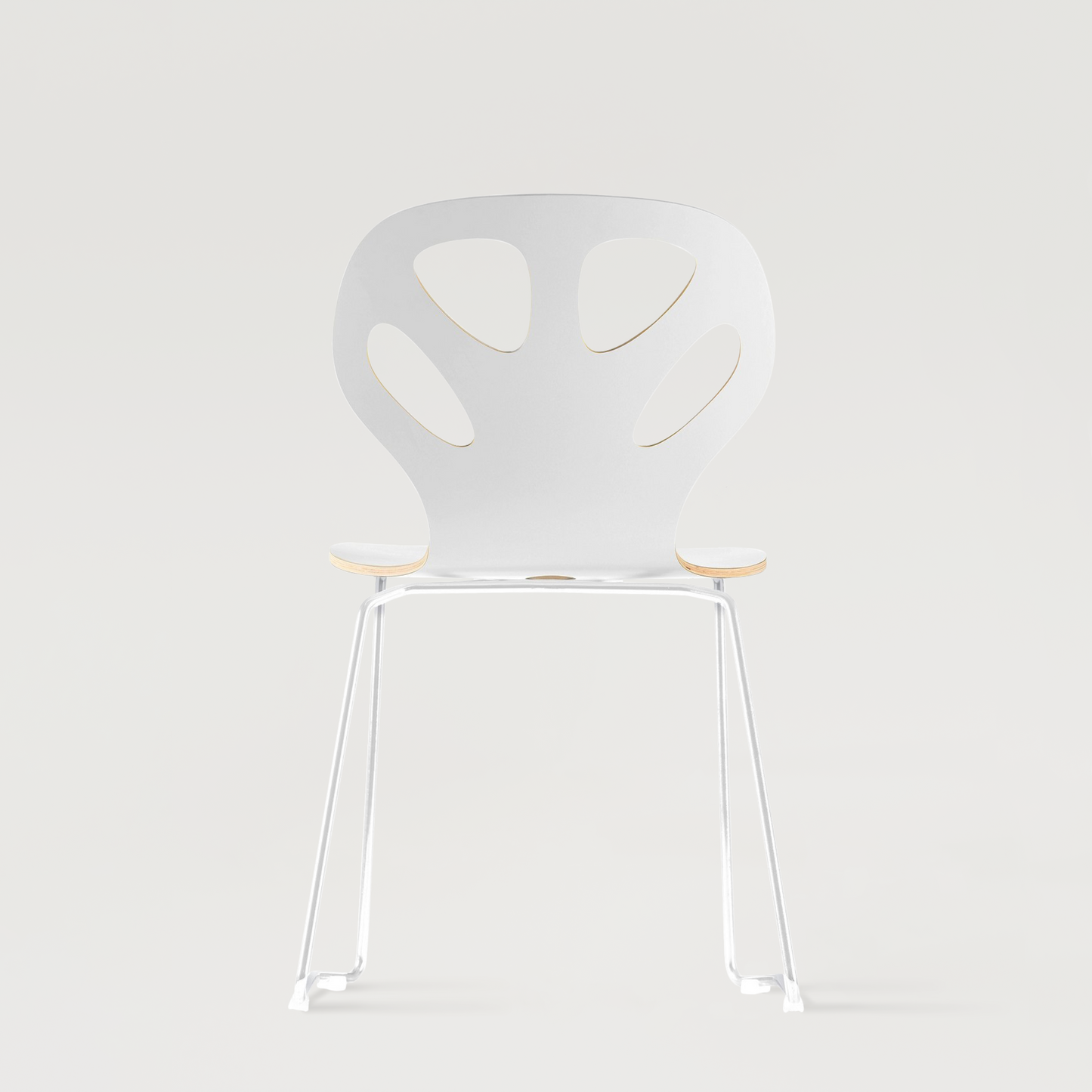 Chair Maple M01 - White