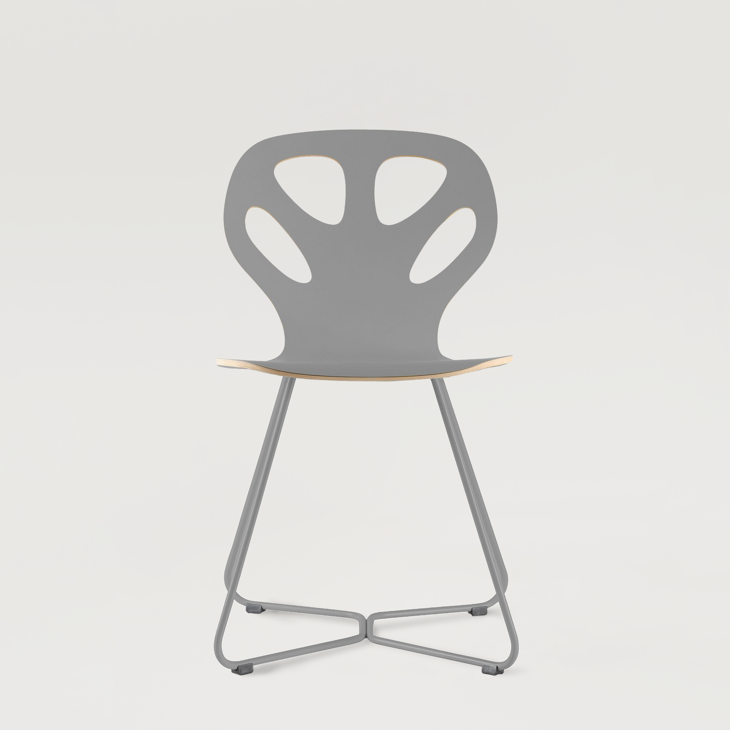 Chair Maple M02 - Grey