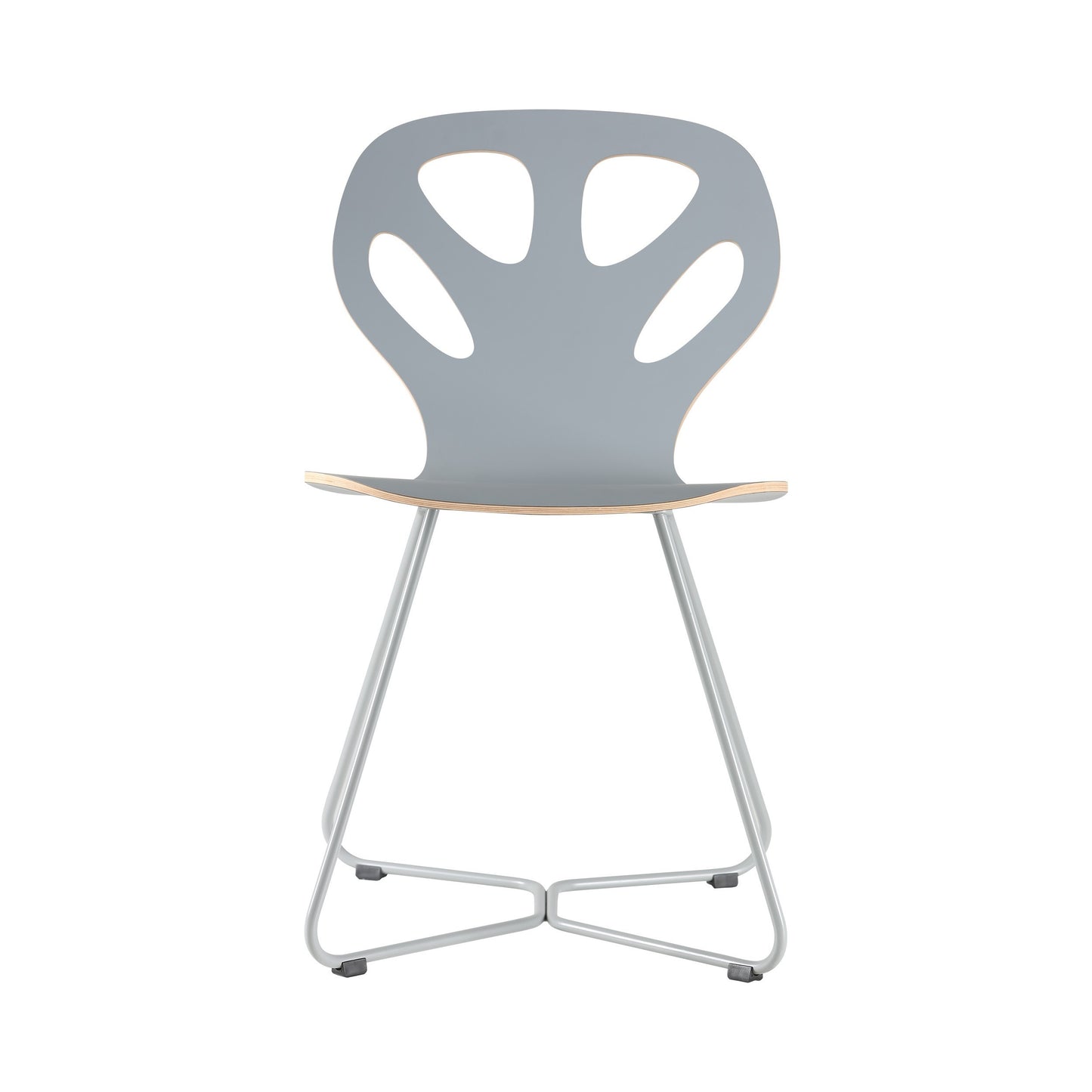 Chair Maple M02 - Grey