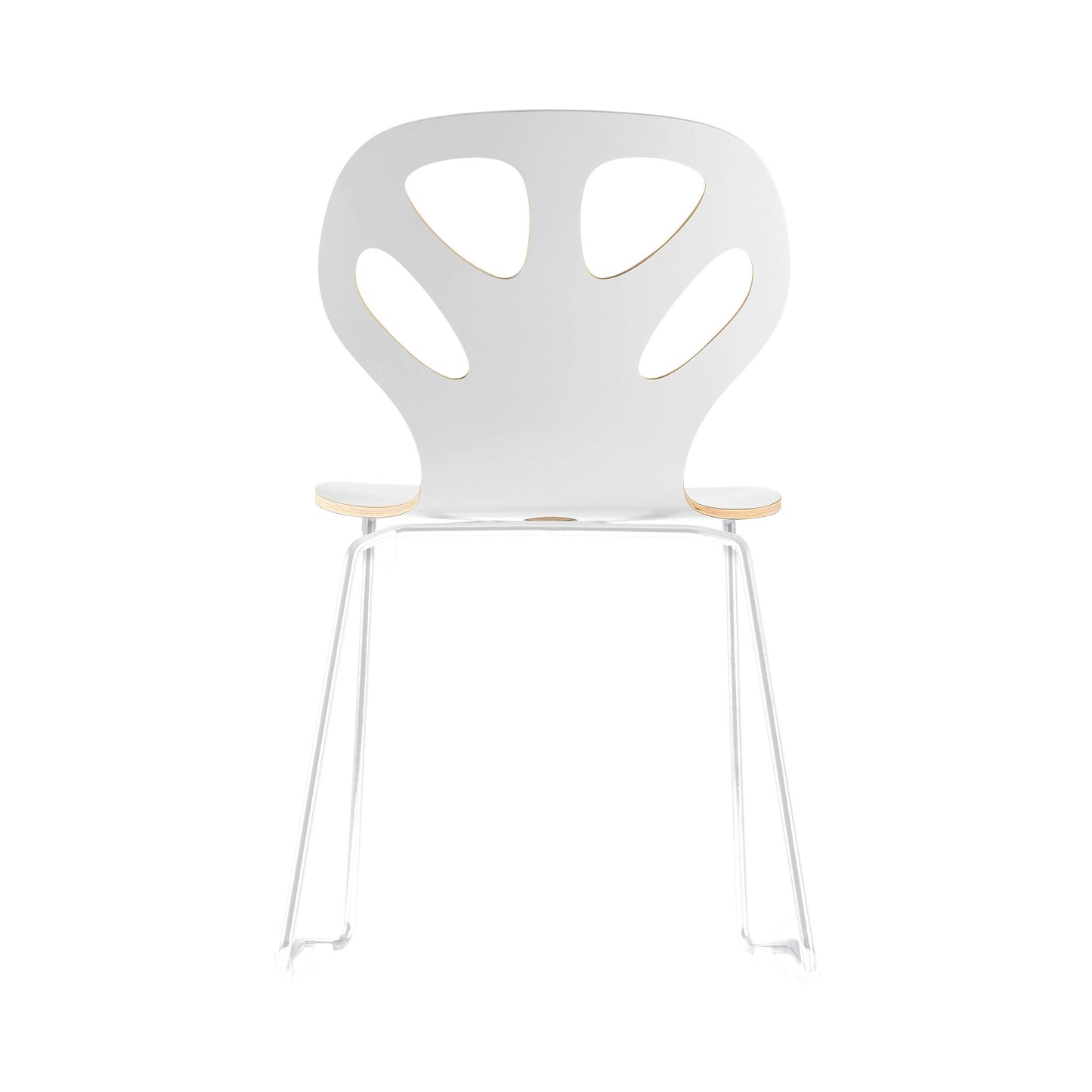 Chair Maple M01 - White