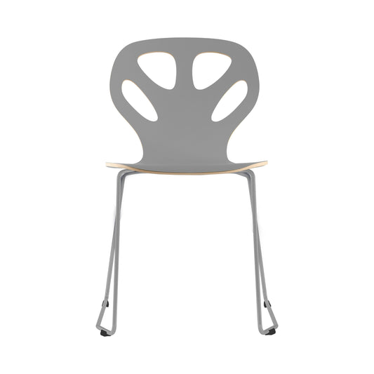Chair Maple M01 - Grey