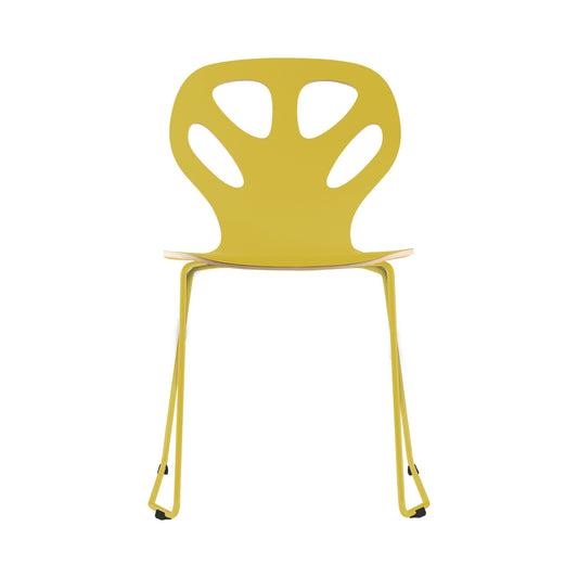 Chair Maple M01 - Yellow