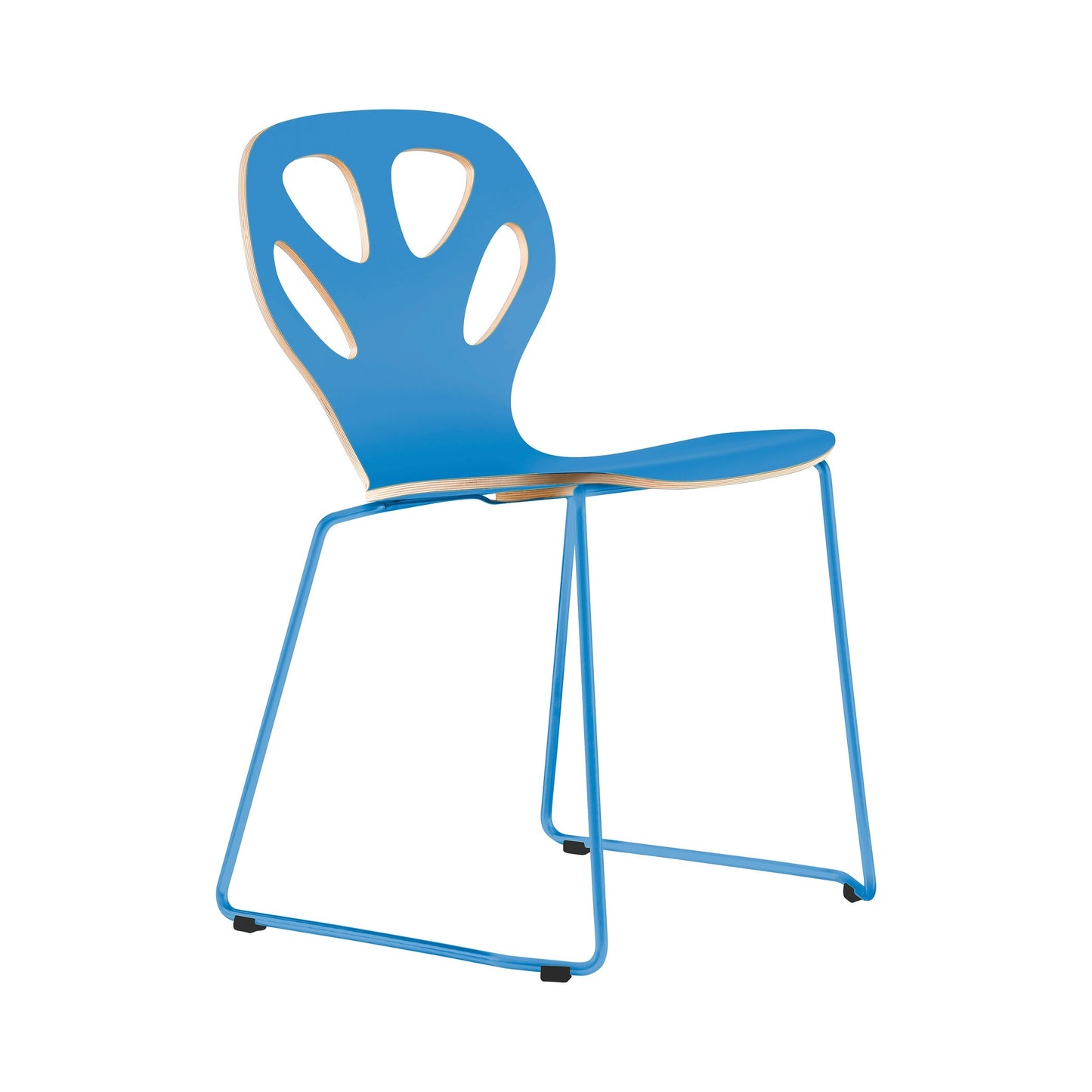 Chair Maple M01 - Blue
