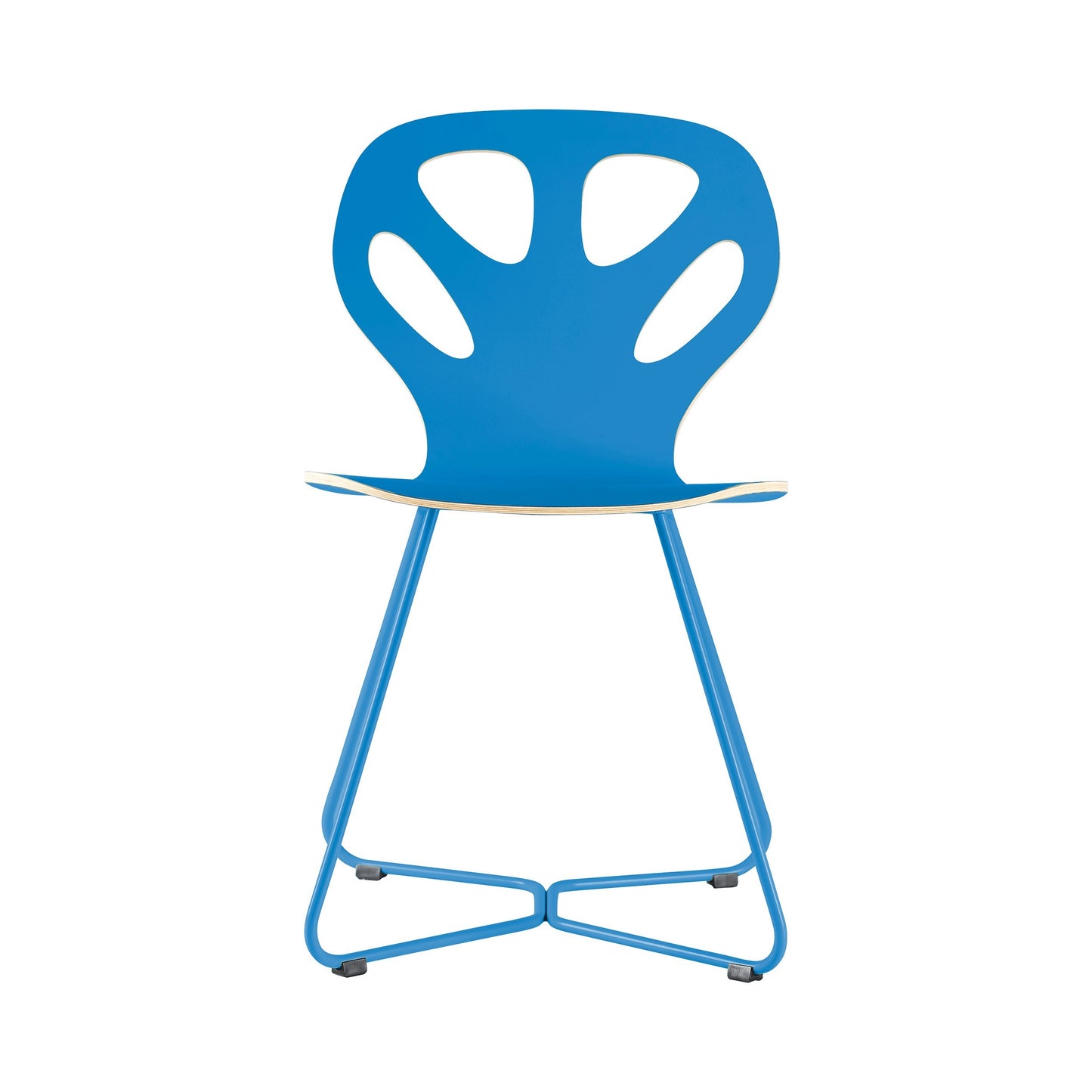 Chair Maple M02 - Blue